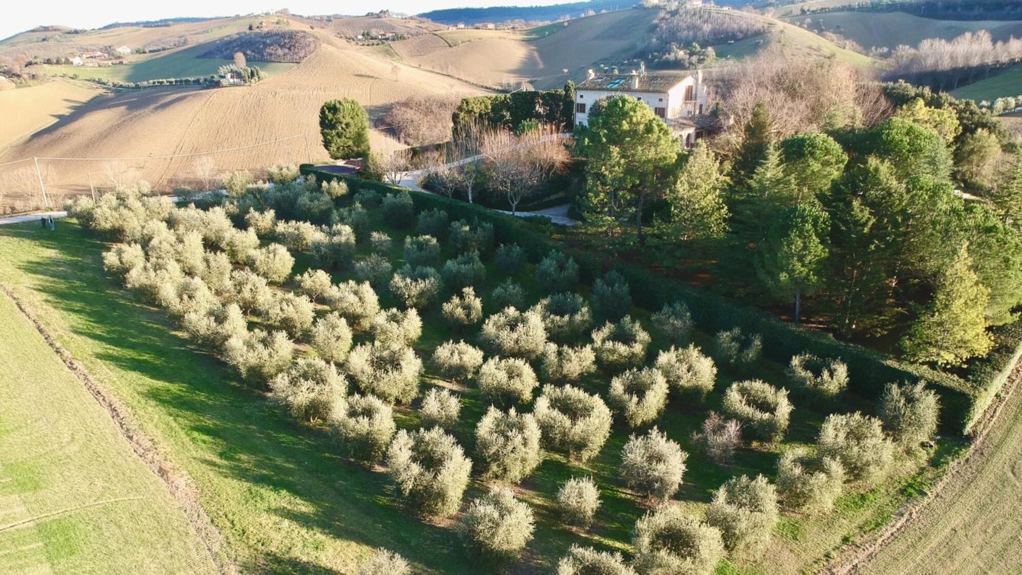 Monterosato Country House Monterubbiano Exterior foto